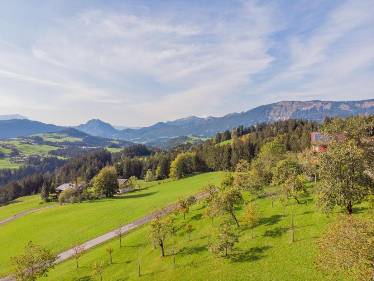 Holiday Home Oberhaslach By Interhome Abtenau Exterior foto